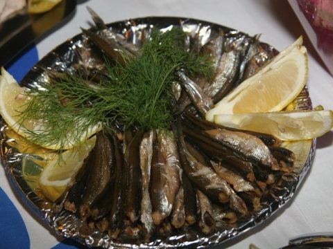 juhannusjuhla-2009 20101117 1569144091