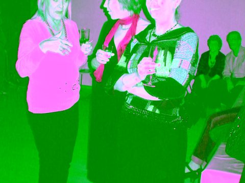 suomi-instituutin synttarit 20101207 1785722557