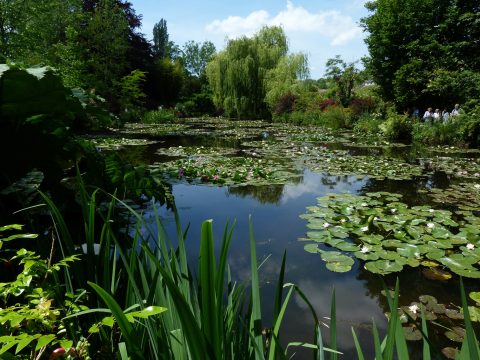 Retki Givernyyn 2015-11