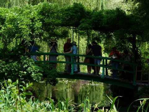Retki Givernyyn 2015-24