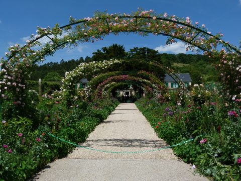 Retki Givernyyn 2015-28