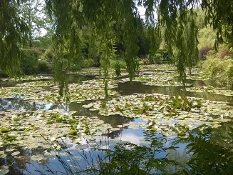 Retki Givernyyn 2015-41