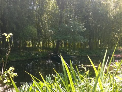 Retki Givernyyn 2015-44